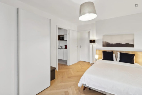 Cosy 1 bedroom apartment near Hardbrücke station