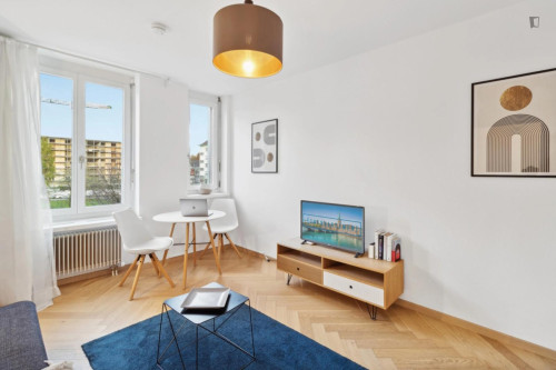 Cosy 1 bedroom apartment near Hardbrücke station  - Gallery -  5