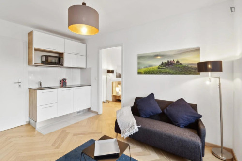 Cosy 1 bedroom apartment near Hardbrücke station - Gallery - 6
