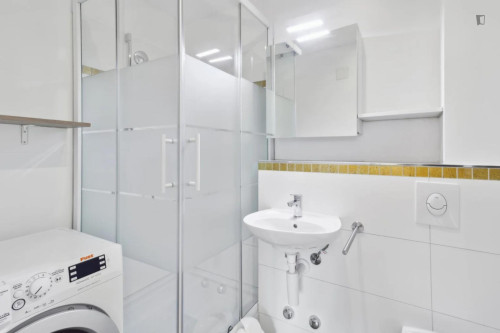 Cosy 1 bedroom apartment near Hardbrücke station - Gallery - 7