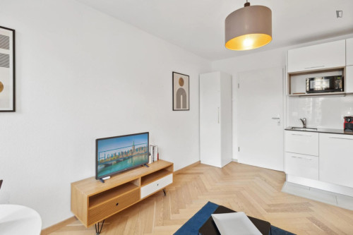 Cosy 1 bedroom apartment near Hardbrücke station