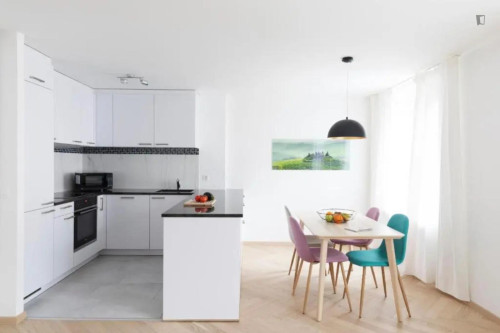 Modern 1 bedroom apartment near Hardbrücke train station