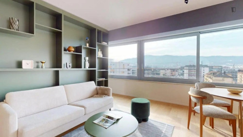 Bright apartment in Zurich