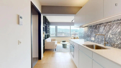 Bright apartment in Zurich