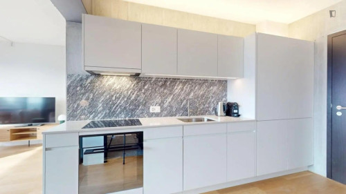 Bright studio in Zurich