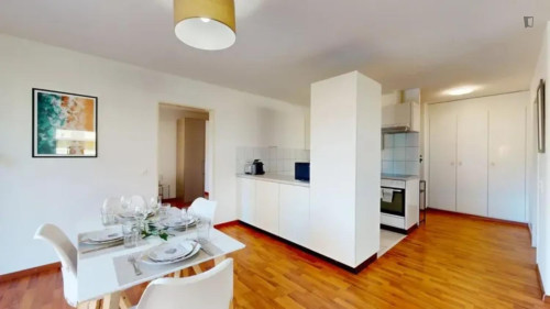 Neat 2 bedroom apartment close to Zurich central station