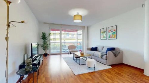 Neat 2 bedroom apartment close to Zurich central station