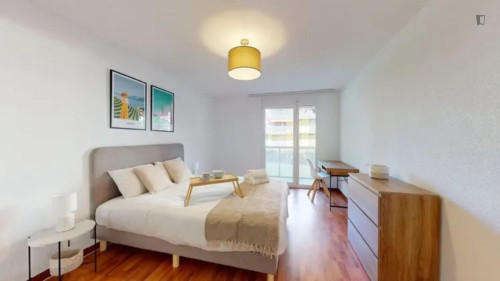 Neat 2 bedroom apartment close to Zurich central station