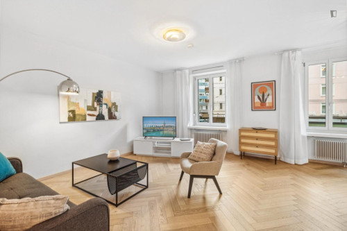 Modern 2 bedroom apartment in Hardbrücke