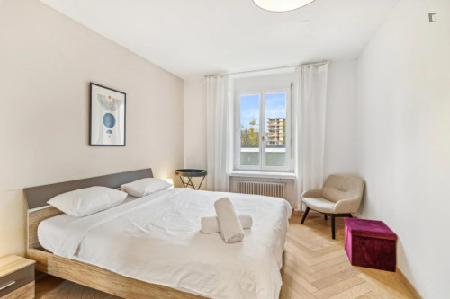 Modern 2 bedroom apartment in Hardbrücke