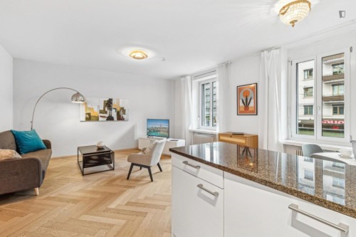 Modern 2 bedroom apartment in Hardbrücke