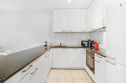 Modern 2 bedroom apartment in Hardbrücke - Gallery - 7