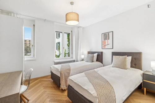 Modern 2 bedroom apartment in Hardbrücke - Gallery - 9