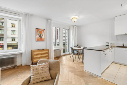 Modern 2 bedroom apartment in Hardbrücke - Gallery - 6