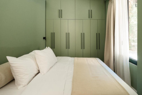 Wonderful 1-bedroom apartment in Kallimármaro