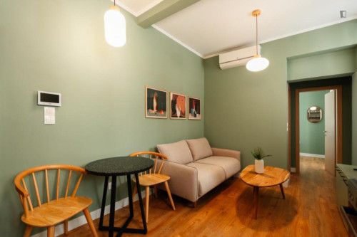 Wonderful 1-bedroom apartment in Kallimármaro