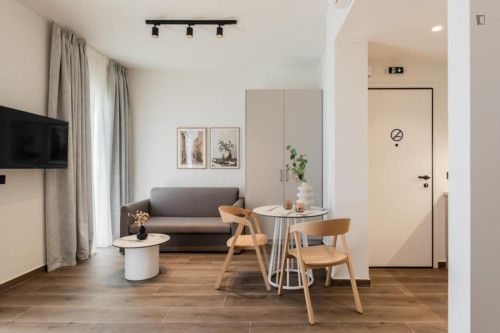 Pleasant studio near Megaro Moussikis metro