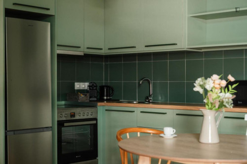 Attractive 1-bedroom apartment in Kallimármaro