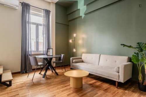 Delightful 1-bedroom apartment in Kolonaki