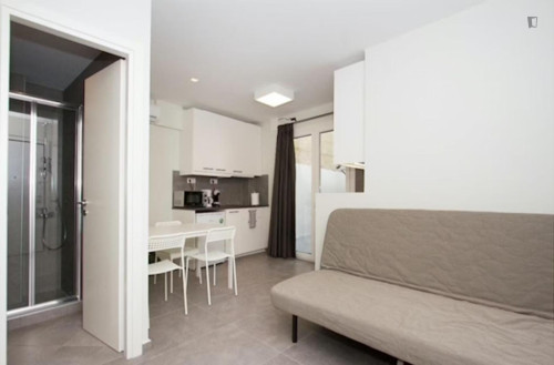 Pleasant studio apartment in the Pangrati area