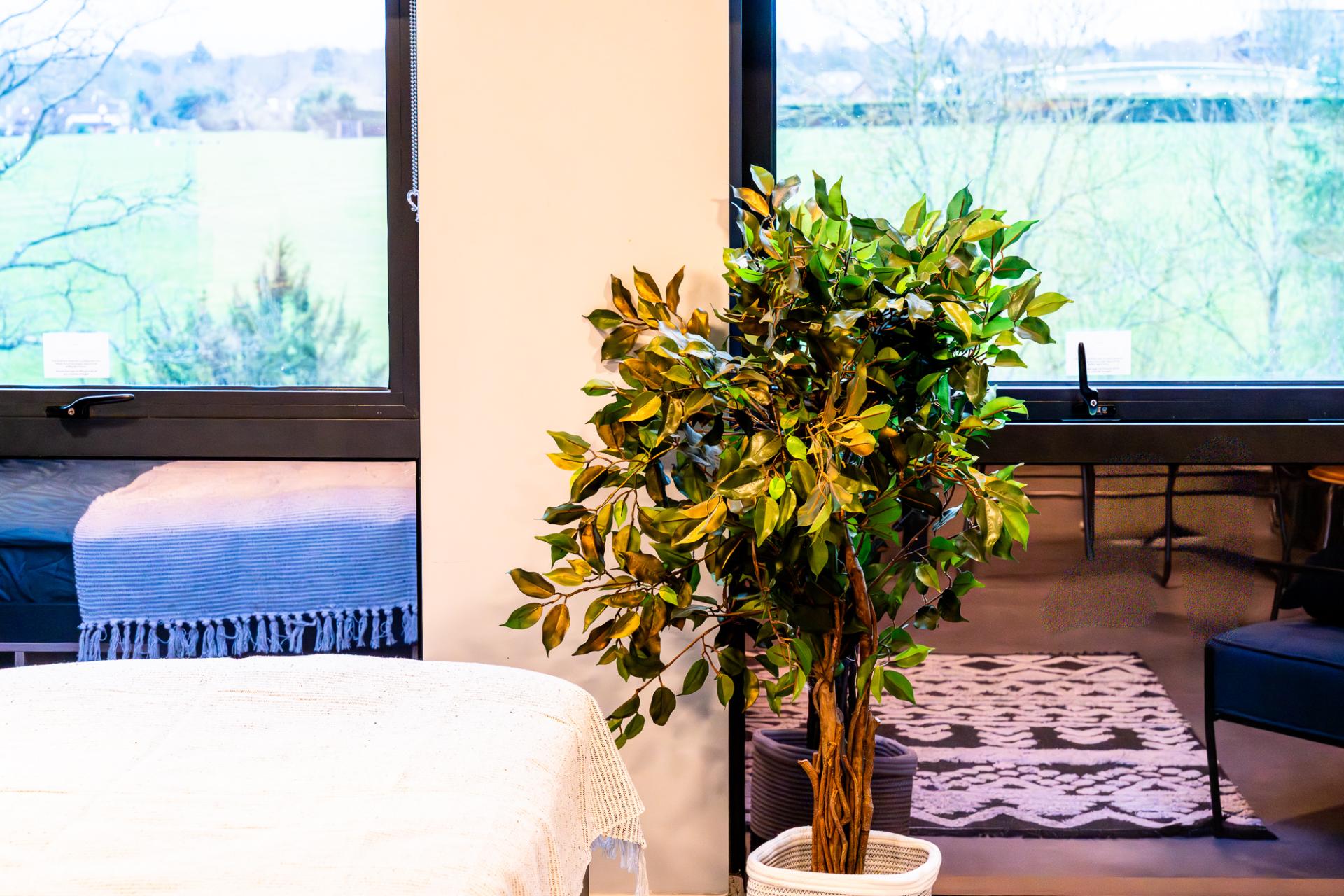  Premium Studio  -  Guilden Village  - Gallery -  4