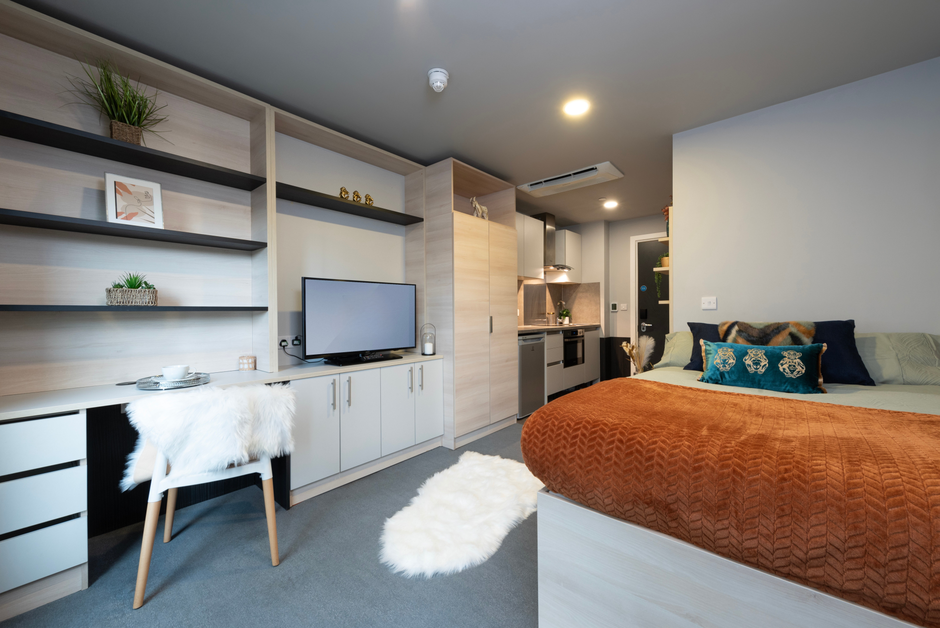 Premium Studio - 5