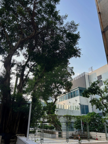 Modern Urban Coliving in the Heart of Sai Ying Pun Apartment
