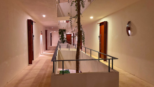 Award-Winning Luxury Coliving in Vibrant La Veleta, Tulum Residence