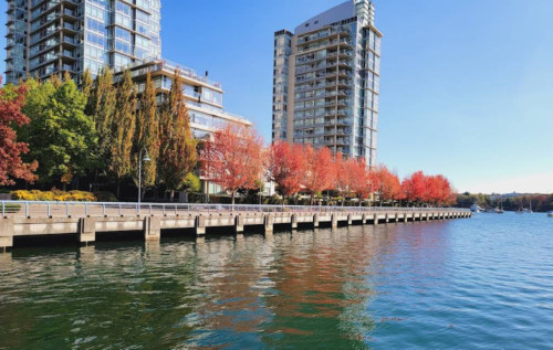 Lovely Comfortable Apt. near Emery Barnes Park Home