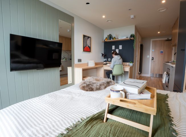  Classic Studio - Penthouse  -  Brent Cross Town  - Gallery -  2