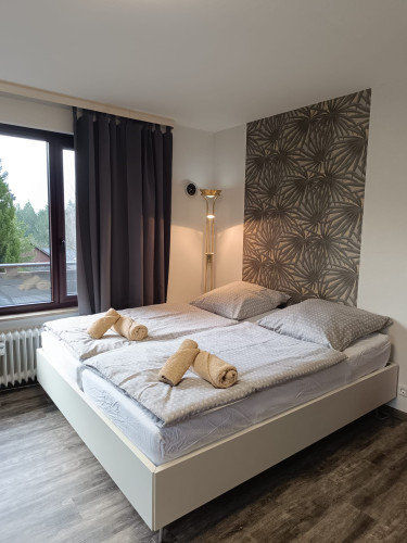 Pretty, amazing flat in Clausthal-Zellerfeld
