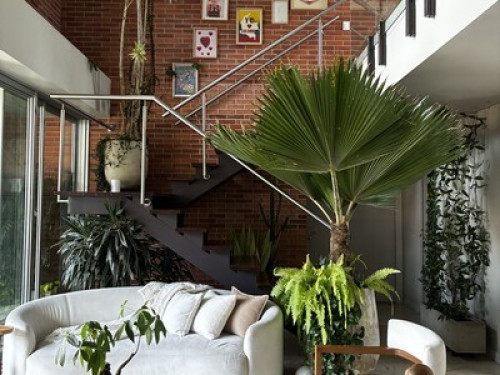 PENTHOUSE LIVING - Gallery - 8