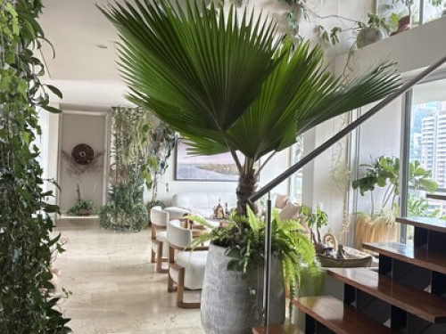 PENTHOUSE LIVING - Gallery - 12