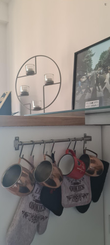 1-bedroom apartment, with outdoor area in Flaminio