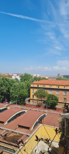 1-bedroom apartment, with outdoor area in Flaminio