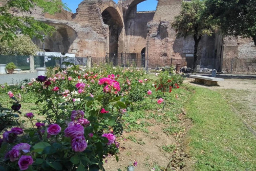 Welcoming 1-bedroom apartment in Castro Pretorio