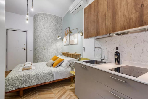 Cute studio close to the Tiburtina train station