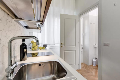 Cute studio close to the Tiburtina train station