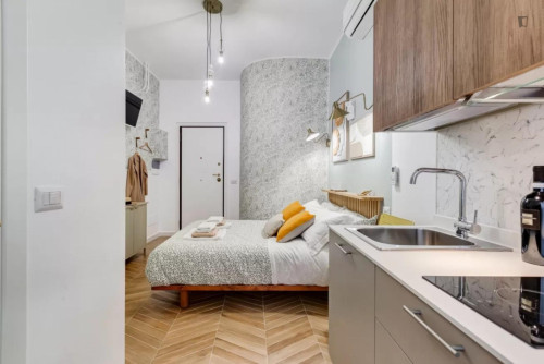 Cute studio close to the Tiburtina train station