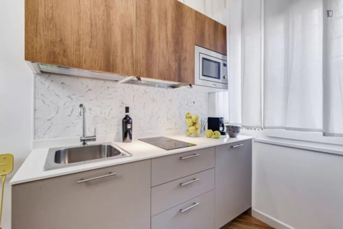 Cute studio close to the Tiburtina train station