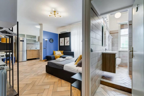 Modern studio close to the Battistini metro station