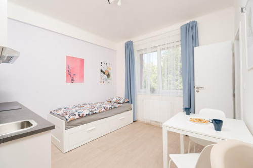 Nice and appealing studio near the Kačerov metro statio