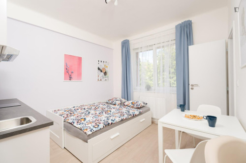 Nice and appealing studio near the Kačerov metro statio