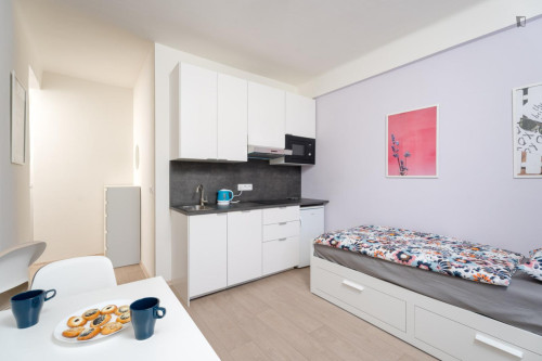 Nice and appealing studio near the Kačerov metro statio