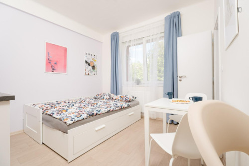 Nice and appealing studio near the Kačerov metro statio