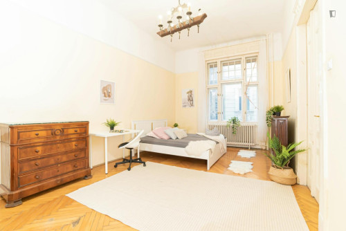 Comfy double bedroom near Oktogon metro