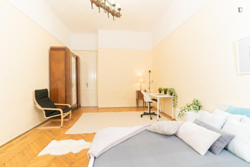 Lovely double bedroom near Oktogon metro