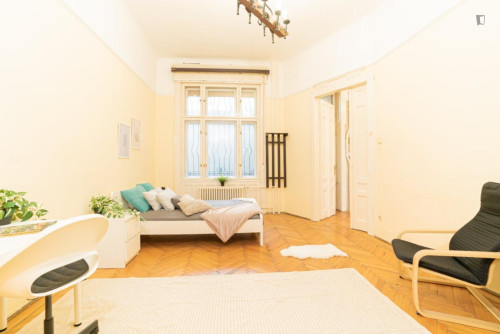 Lovely double bedroom near Oktogon metro