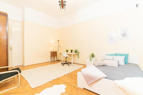 Lovely double bedroom near Oktogon metro