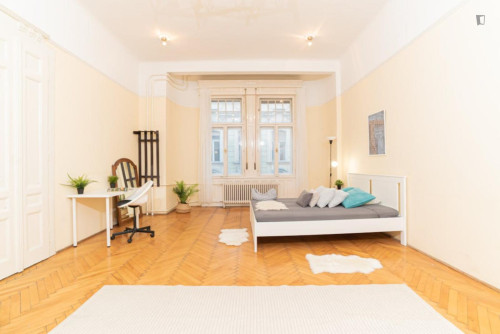 Cosy double bedroom near Oktogon metro
